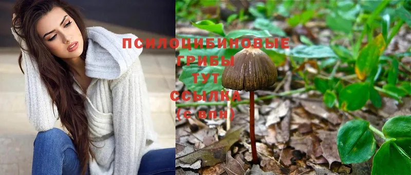 Псилоцибиновые грибы Magic Shrooms  как найти   Аркадак 